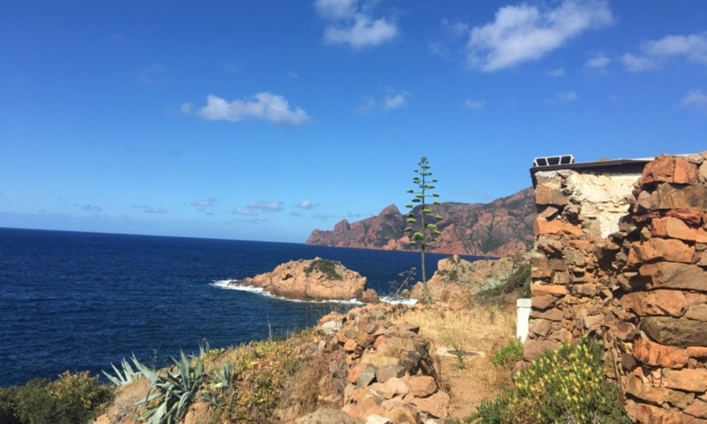 12 girolata