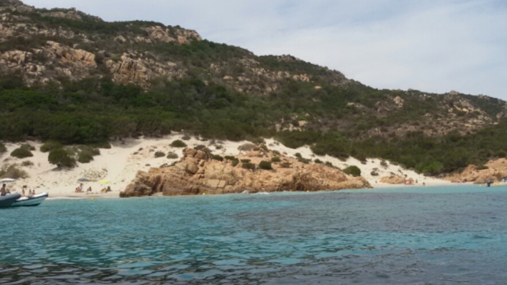 20 madalena