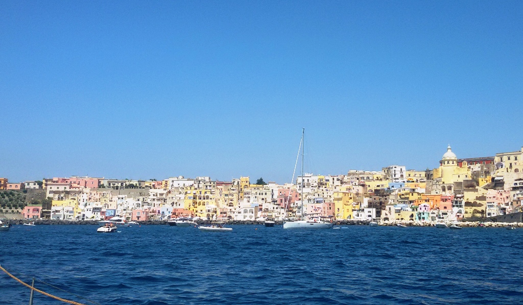 61 prodica