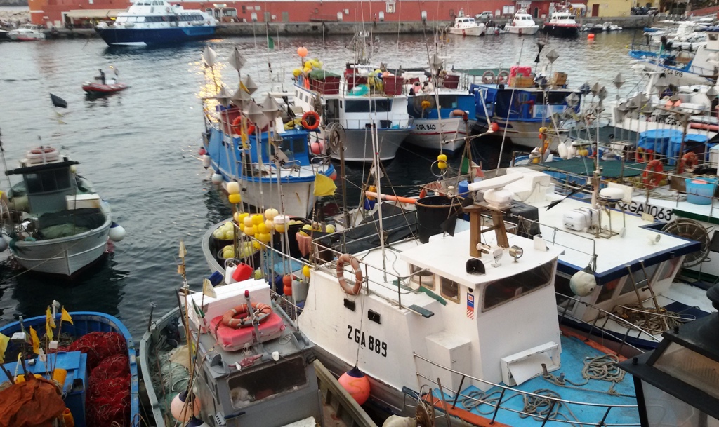 65 ponza 1