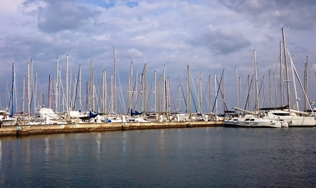 81 taverna