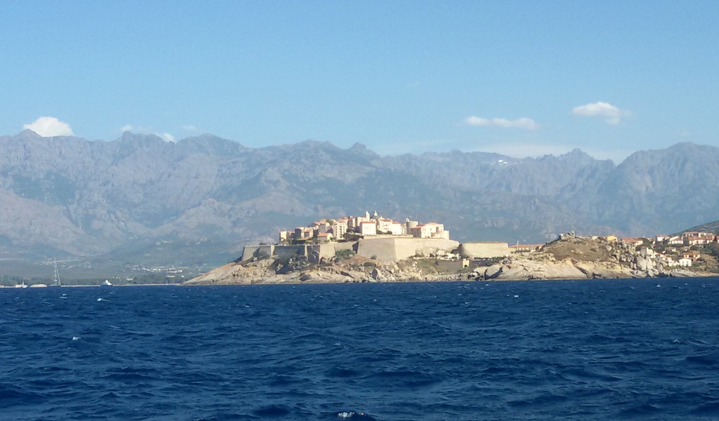 9 calvi
